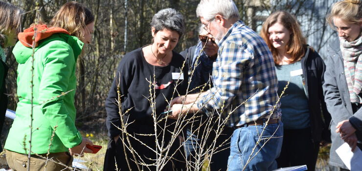 Bestimmungsübung an einem Strauch