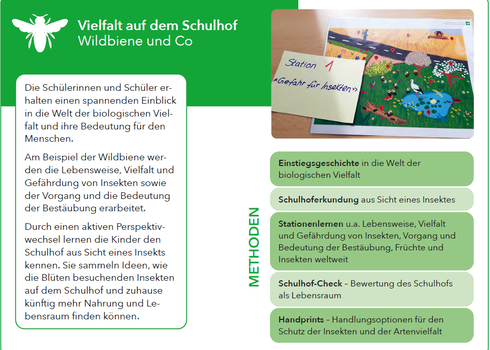 Übersicht des Moduls Vielfalt